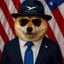 Official DogeWLFI Coin Icon