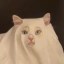 Ghost Cat Icon