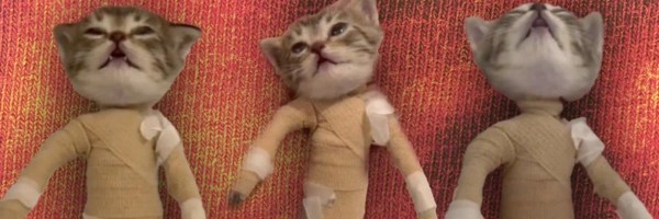 Bwoken Kitty Token Header