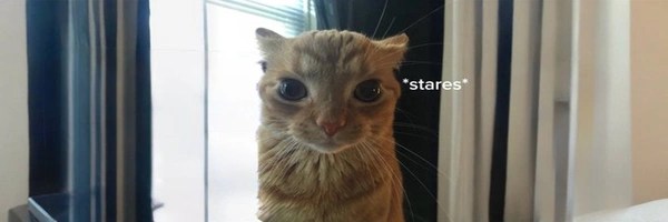 clementine Token Header