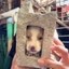 doginblock Icon