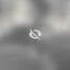 Not Safe For Wallet Icon