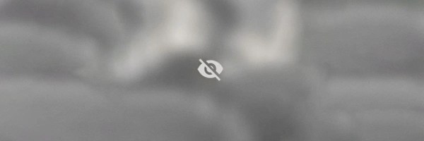 Not Safe For Wallet Token Header