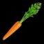 Carrots Icon