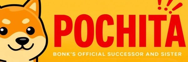 Pochita Token Header