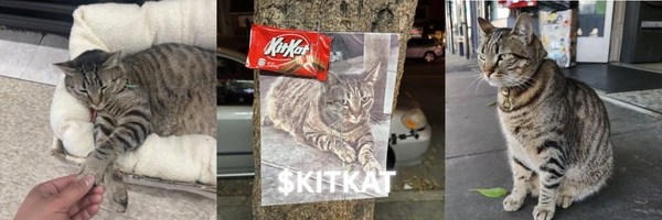 Justice For KitKat Token Header