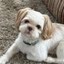 cooper Icon
