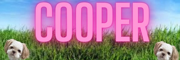 cooper Token Header
