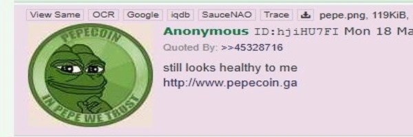 Pepecoin Token Header