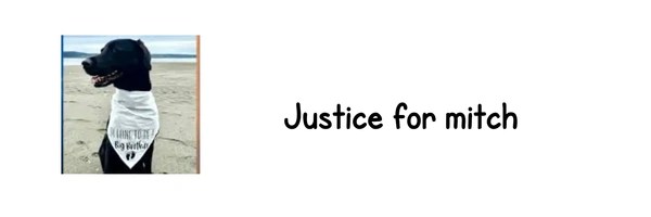 Justice for Mitch Token Header