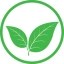 organic coin Icon