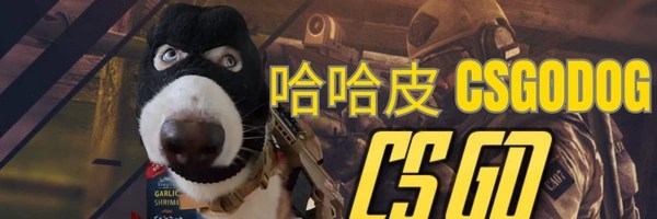 哈哈皮 csgodog Token Header