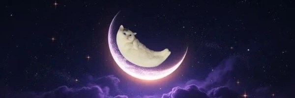 Mooncat Token Header
