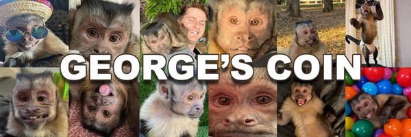 George's Coin Token Header