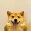 spread pawsitivity Icon