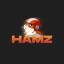 HAMZ Icon