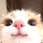 mow Icon