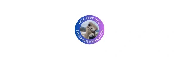 Lulu The Ostrich Token Header
