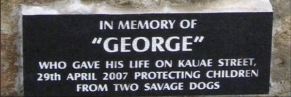 Justice For George Token Header