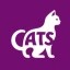 Global Cat Care Icon