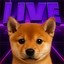 LIVE DOGE TILL 100M Icon