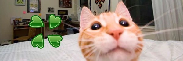 The 4Chan Cat Token Header