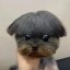 Dog Final Boss Icon