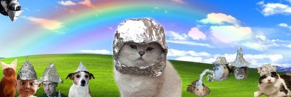 Tin Foil Hat Cult Token Header