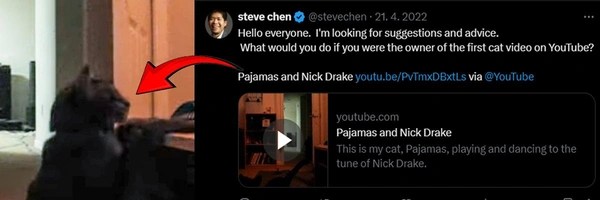 The First Youtube Cat Token Header