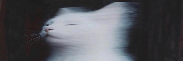 faded Token Header