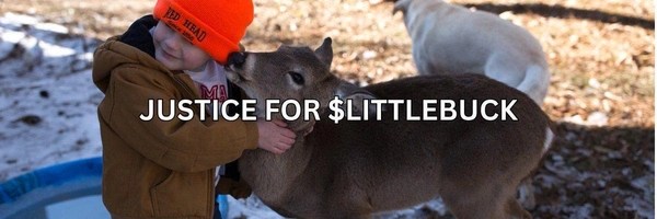 Little Buck the deer Token Header