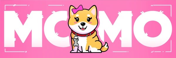Momo Token Header