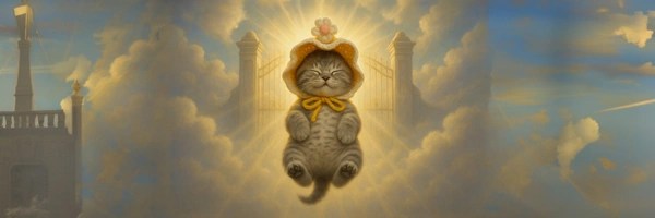 catinhat Token Header