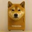 TOSHIBA Icon