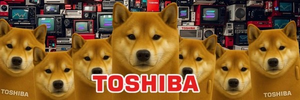 TOSHIBA Token Header