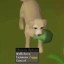 Ziggy Icon