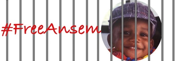#freeansem Token Header