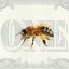 1B Icon