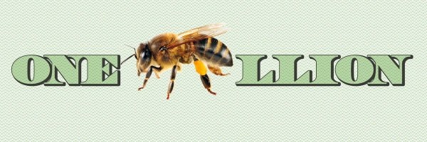 1B Token Header