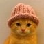 catwifhat Icon