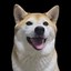 Achi Icon