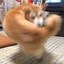 Right-Hook Dog Icon