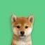 Profile Dog Icon