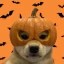 Hallowif Icon