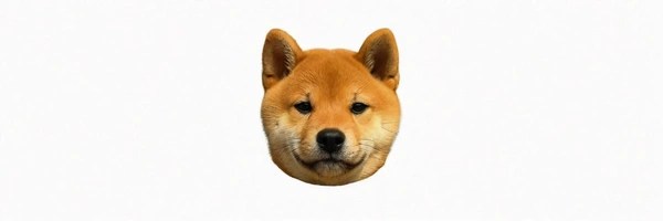 子犬 Token Header