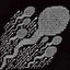 SPERMCOIN Icon