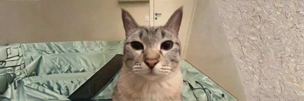 Tuna Token Header