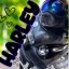 dogwifmotorcycle Icon