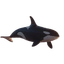 Free Willy Icon