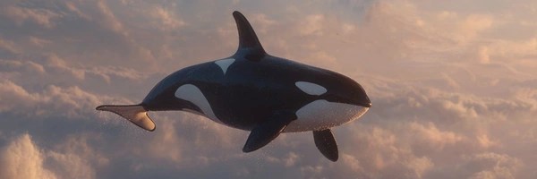 Free Willy Token Header